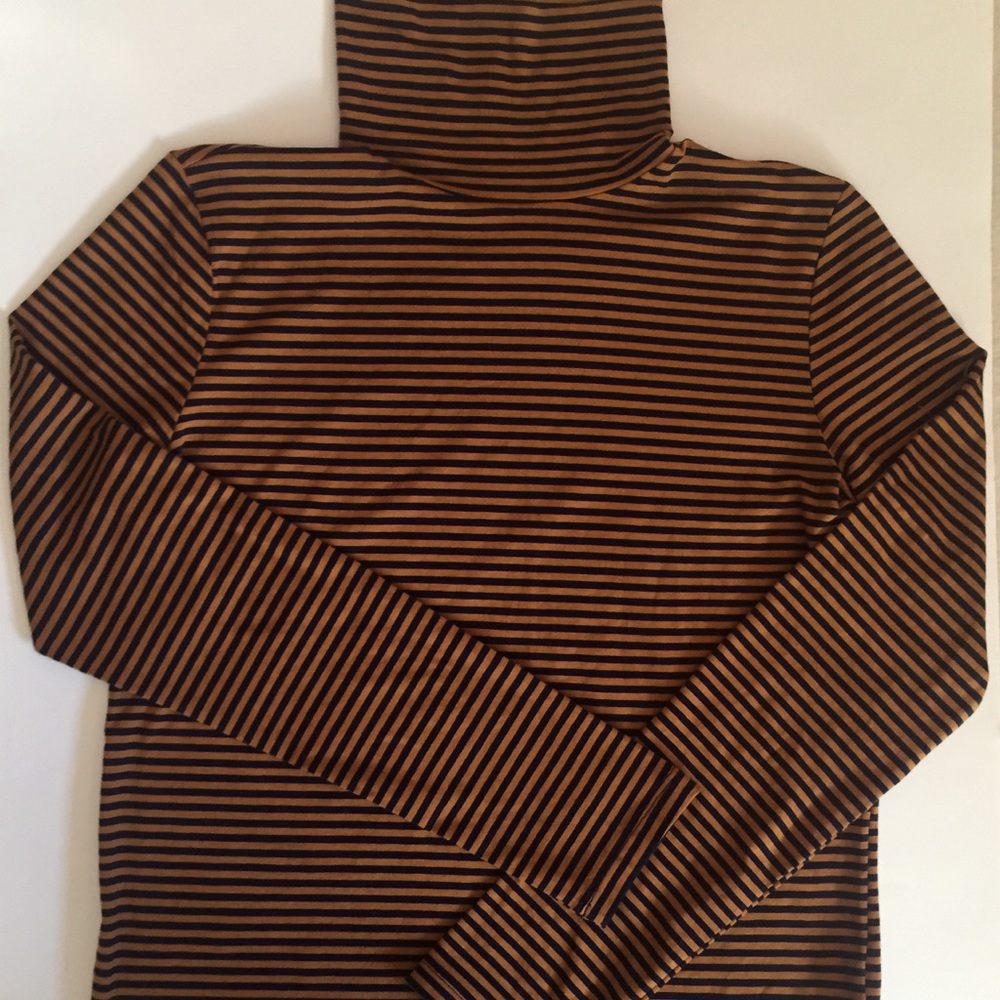 Turtleneck long sleeved shirt